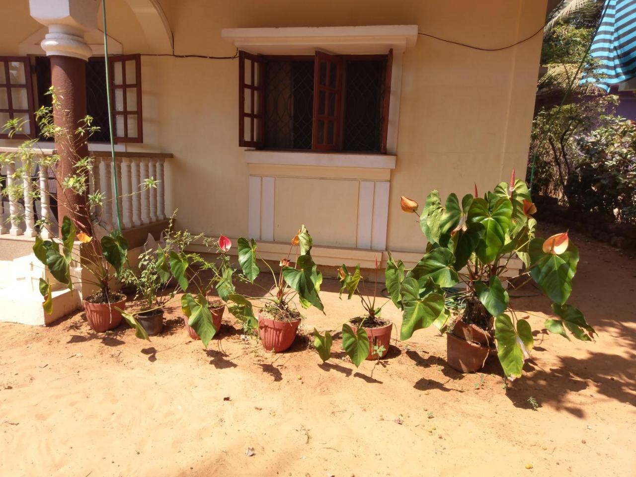 21In Guest House Calangute Dış mekan fotoğraf